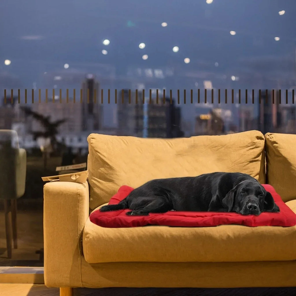 Portable Dog Travel Bed