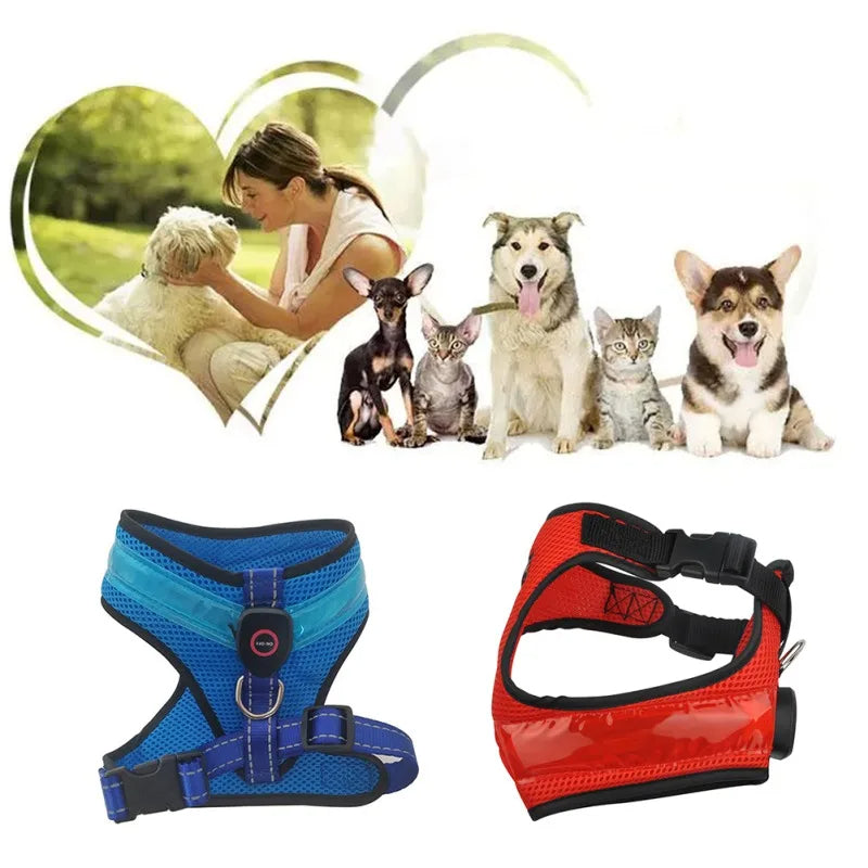 LED Safety Dog Harness 