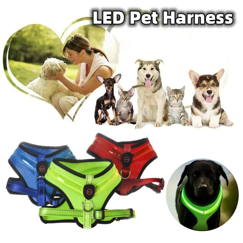 LED Safety Dog Harness 