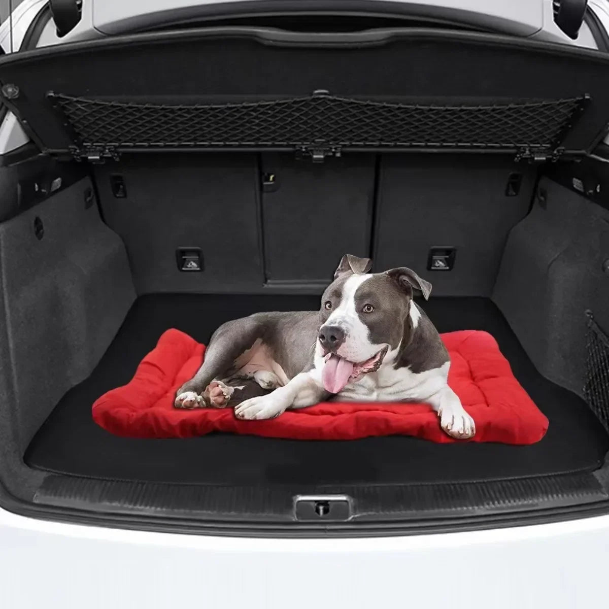 Portable Dog Travel Bed