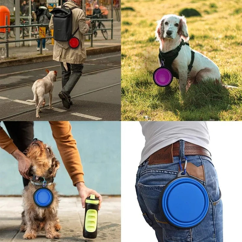 Collapsible Silicone Dog Bowl