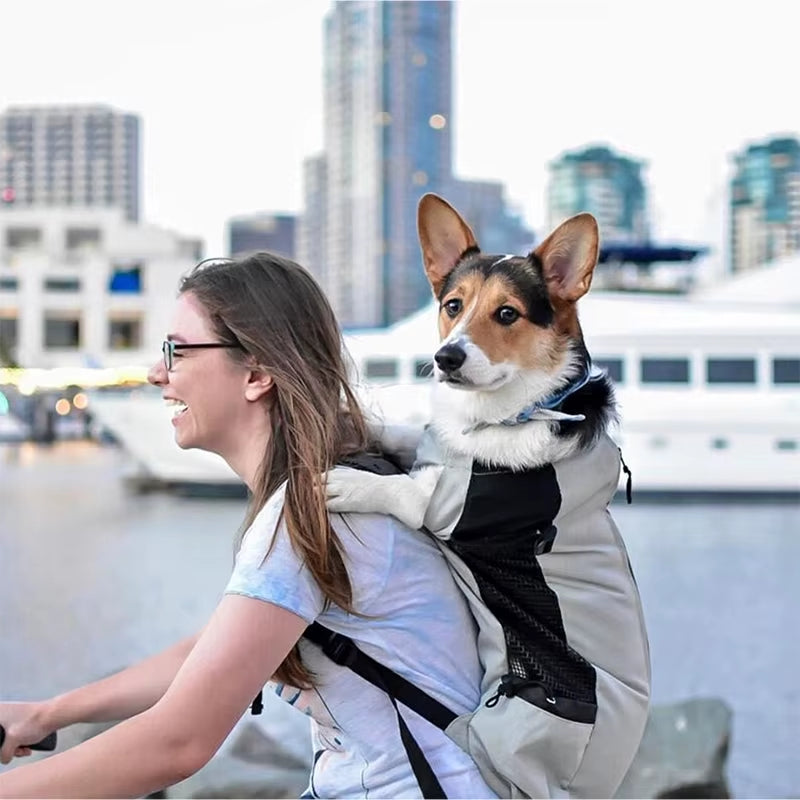 Pet Carrier Backpack