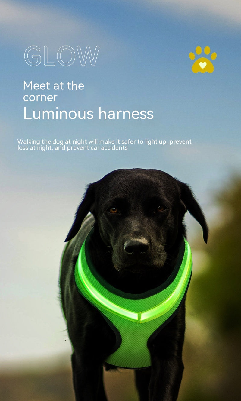 LED Safety Dog Harness 