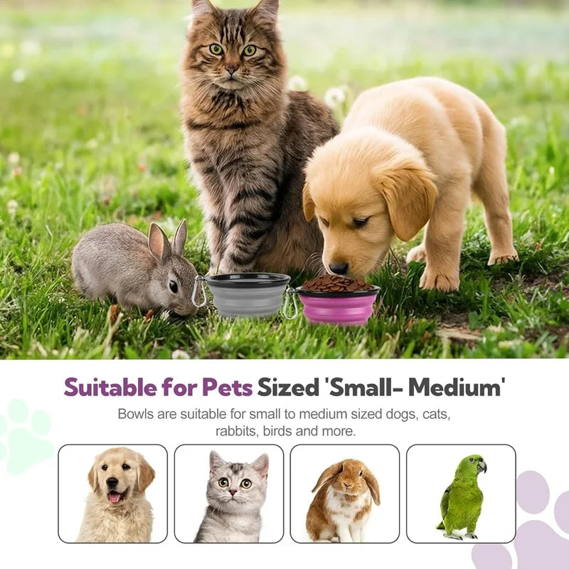 Collapsible Silicone Dog Bowl