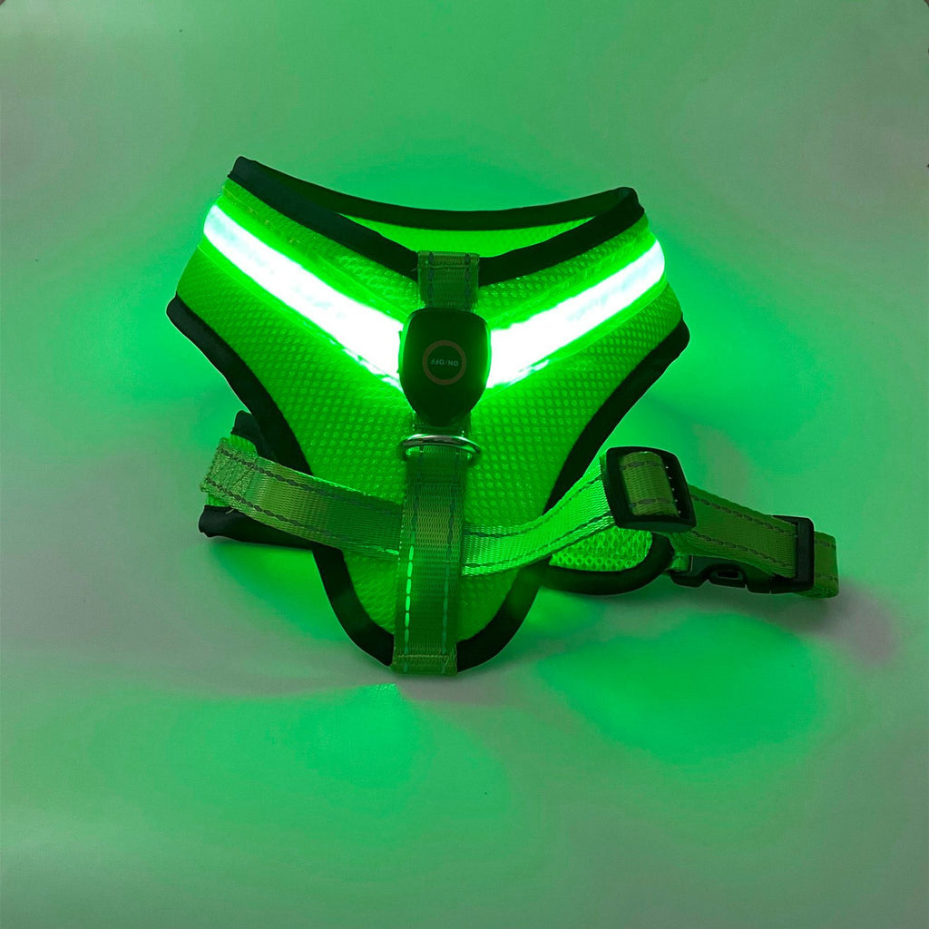 LED Safety Dog Harness 