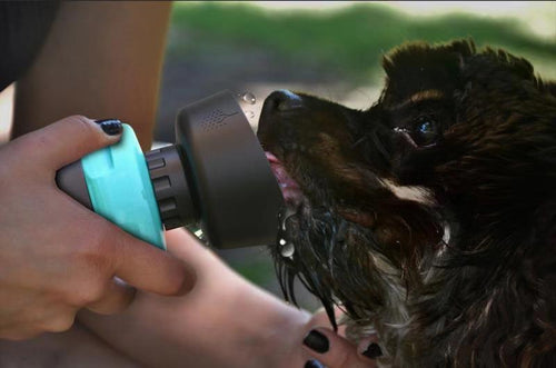 17oz Flip Travel Dog Water Bottle