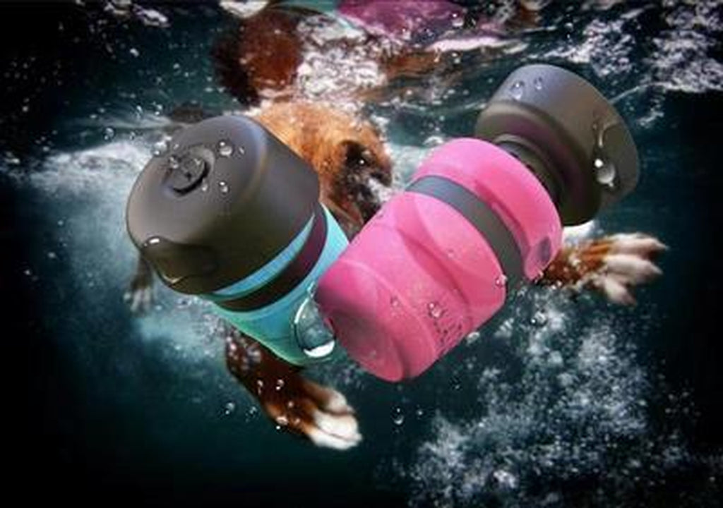 17oz Flip Travel Dog Water Bottle